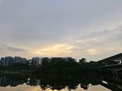 Rivercove Residences (D19), Condominium #558059801